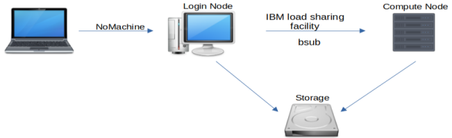 Diagram showing that the login nodes are used to access storage and compute node resources