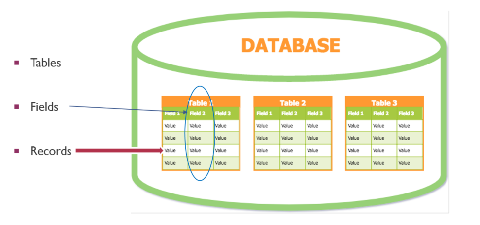 Databases And SQL Selecting Data